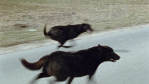 Formørkelsen Bild 4