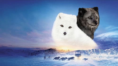 Die Abenteuer von Kina & Yuk Bild 5