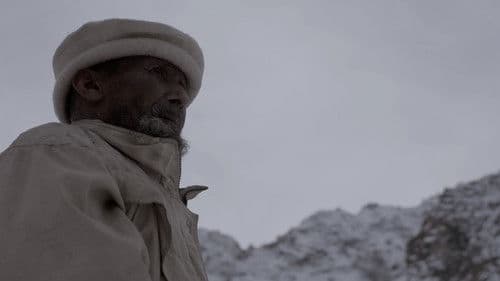 Beyond the Wetlands Bild 2