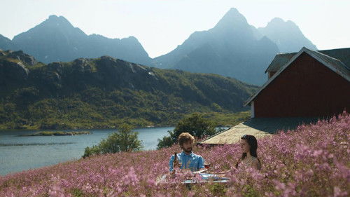 Søvnløs i Lofoten Bild 3