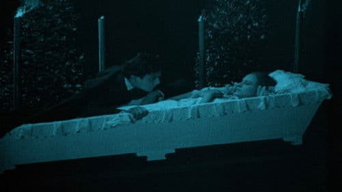 Vallfarten till Kevlaar Bild 2