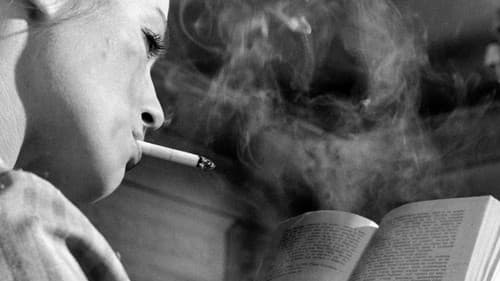 Das Schweigen Bild 6