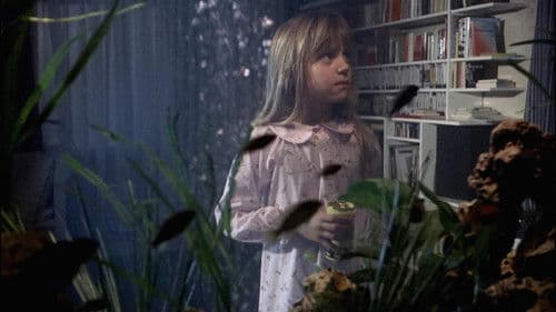 Der siebente Kontinent Bild 1