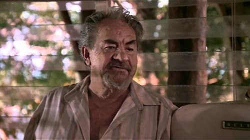 Travelling North Bild 1