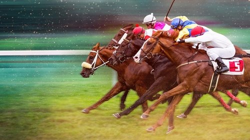 Race for the Crown Bild 1