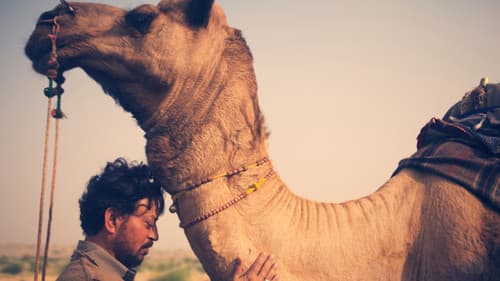 The Song of Scorpions Bild 4