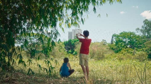 Bahay, Baboy, Bagyo Bild 2