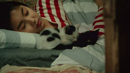 公園通りの猫たち Bild 2