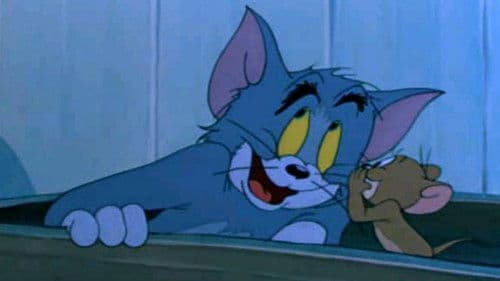 Was wird aus Tom? Bild 1