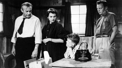 Miami Exposé Bild 5