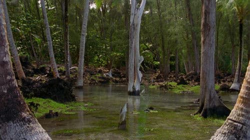 Rock Bottom Riser Bild 3