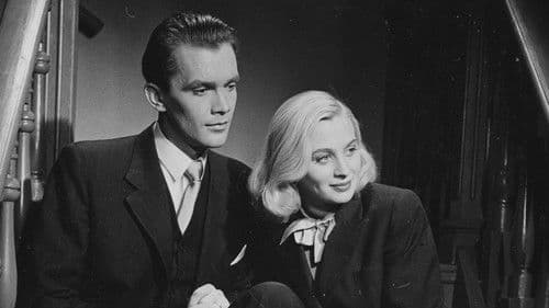 Musik im Dunkeln Bild 2