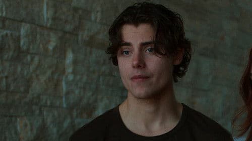 Where Did the Adults Go? Bild 1