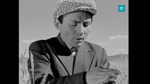 Хөхөө гэрлэх дөхлөө Bild 2