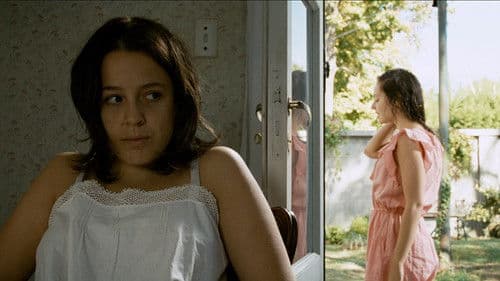 Abrir puertas y ventanas Bild 3