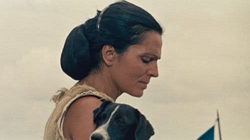 As Ilhas Encantadas Bild 3