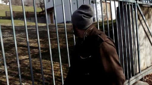 3 ŽENE or (waking up from my Bosnian Dream) Bild 1