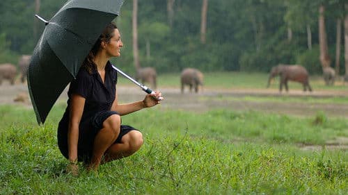 Unknown Africa Bild 1