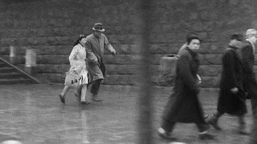 Ein wunderschöner Sonntag Bild 2