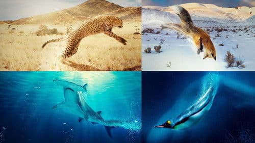 Ein Jahr auf unserer Erde Bild 1