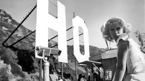 Der Tag der Heuschrecke Bild 5