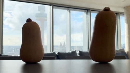 Squash Your Dreams Bild 1