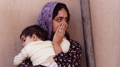 شهر زیبا Bild 2