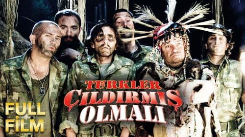 Türkler Çıldırmış Olmalı Bild 2
