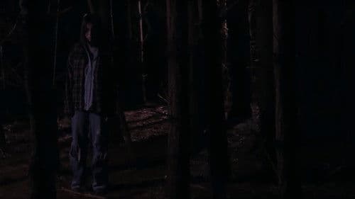 The Haunting of Hickcox Woods Bild 2