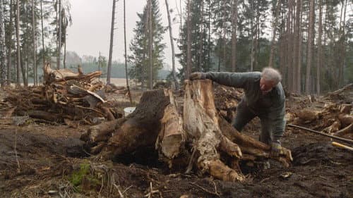 Über die Jahre Bild 1