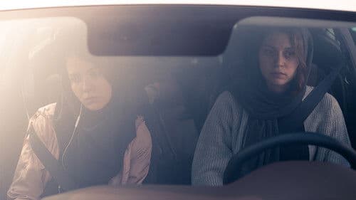 هرگز، گاهی، همیشه Bild 1