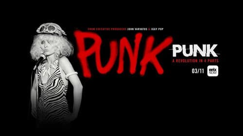 The True Story of Punk Bild 4