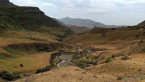 Quatermain und der Schatz des König Salomon Bild 5