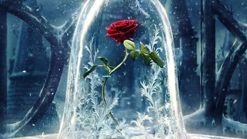 Die Schöne und das Biest Bild 6