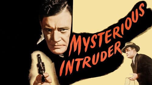 Der geheimnisvolle Gast Bild 2