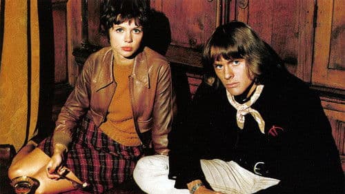 Wie junge Wölfe Bild 4