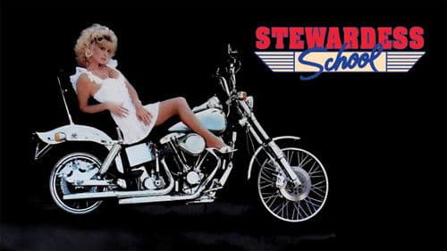 Die Stewardessen Academy Bild 8