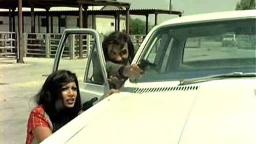 ذئاب لا تاكل اللحم‎ Bild 6