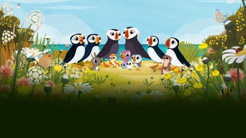Puffin Rock and the New Friends Bild 2