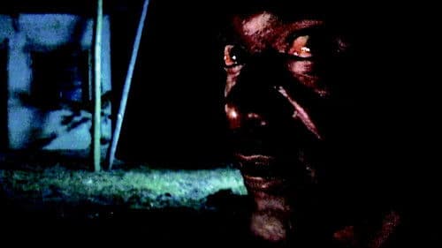 Darwins Alptraum Bild 3