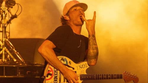 blink-182: Live at Lollapalooza Bild 6