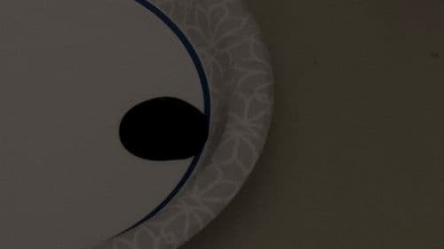 Entranced, Enchanted, Captivated (Director's Cut) Bild 5