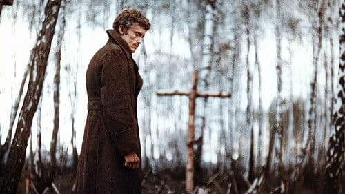 Das Birkenwäldchen Bild 5