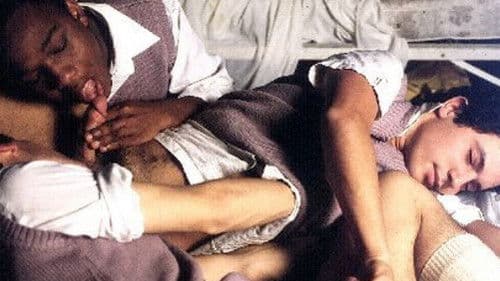 Sacré Collège! Bild 3