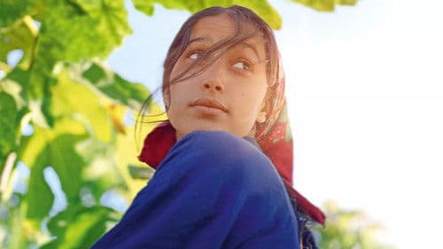 Under the fig trees Bild 6