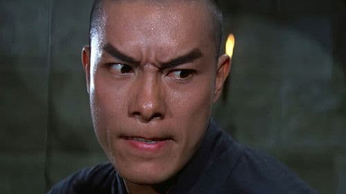 18 Kämpfer aus Bronze Bild 3