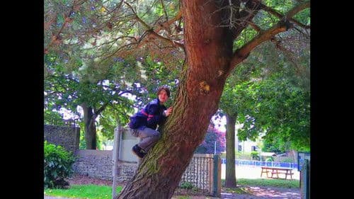 Shooting a Dream Bild 3