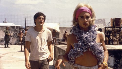 Bevor es Nacht wird Bild 7