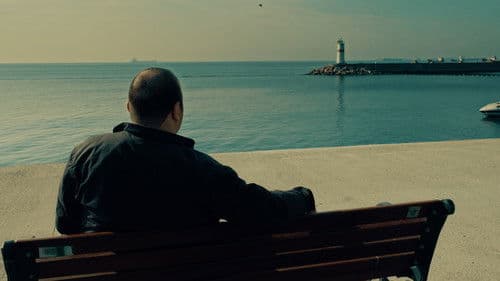 The Librarian Bild 8