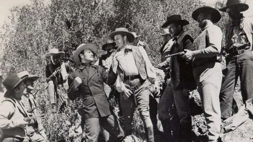 Der Draufgänger von Boston Bild 1